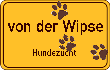 Bolonka Zwetna von der Wipse Logo